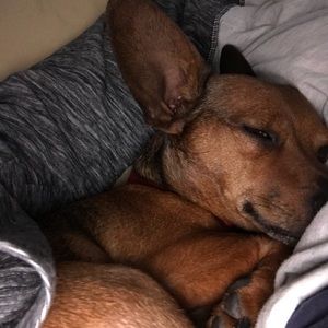 Meet your Posher, Nancy